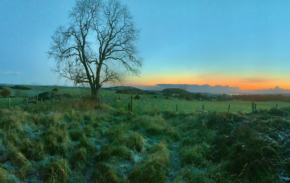 picture of countryside with sunrise