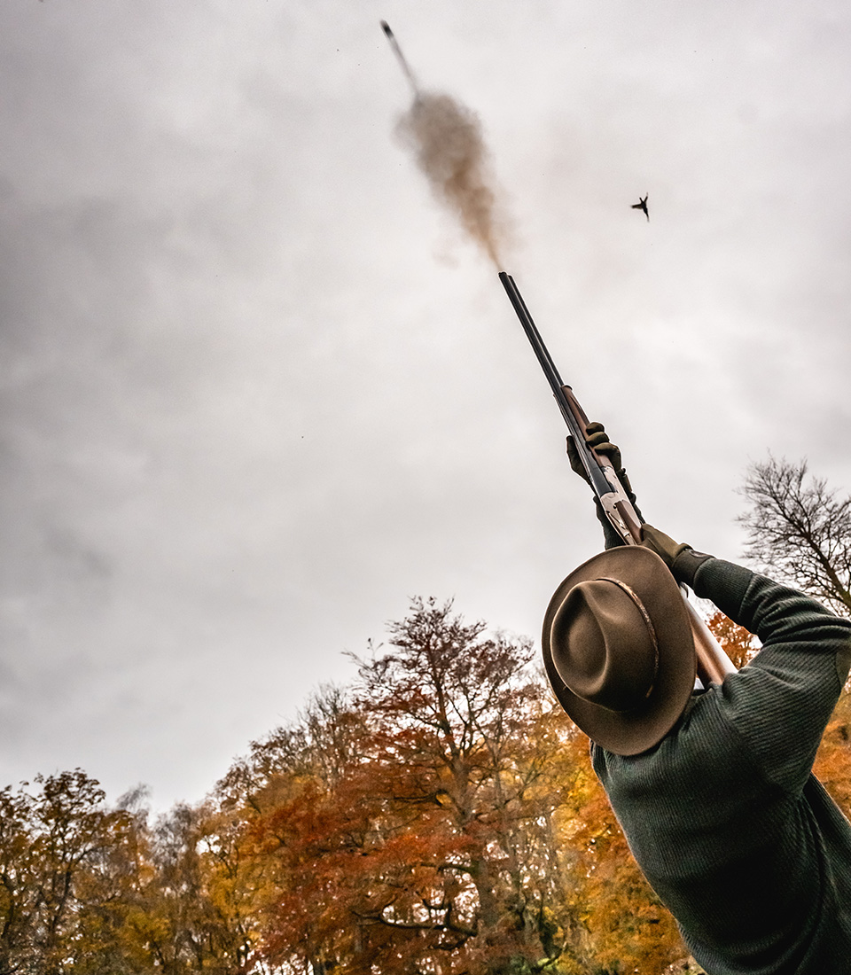 Driven Wingshooting - Craigsanquhar Estate