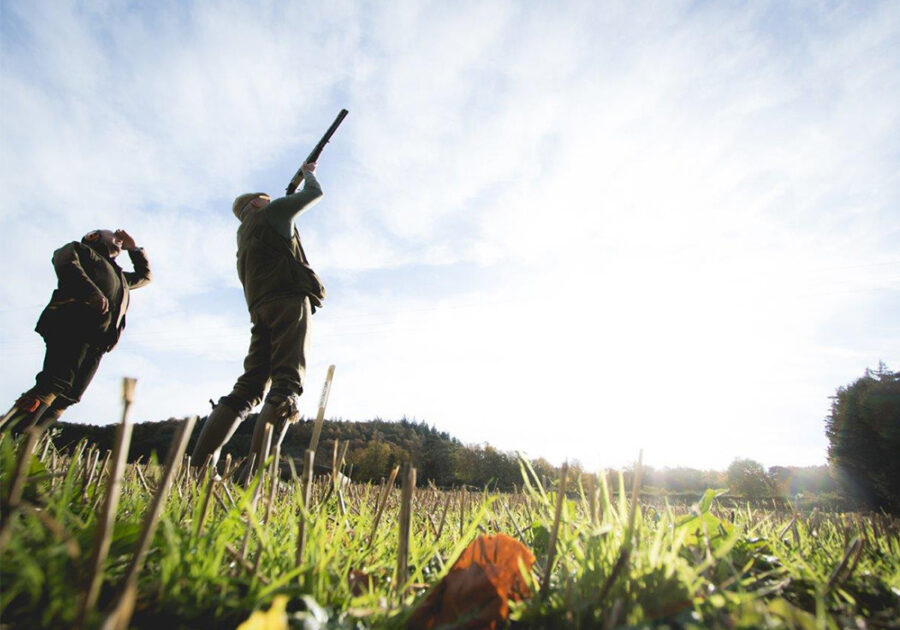 Driven Wingshooting - Craigsanquhar Estate